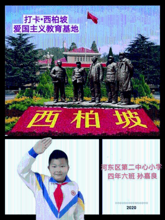 五味子苗是禾本科植物吗?-专业问答社区,汇集海量知识